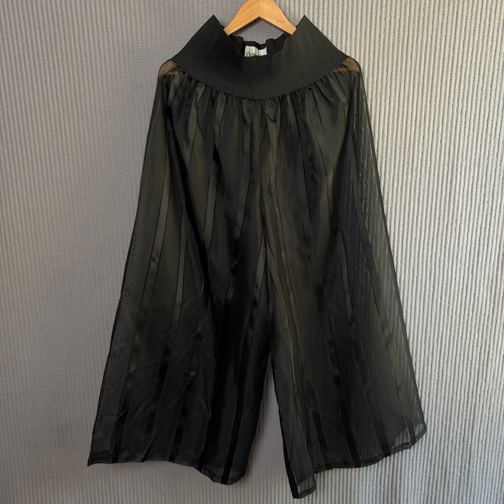 Dinwiddies Mesh Pants Party Black Sheer Wide Leg Edgy‎ Grunge Boho